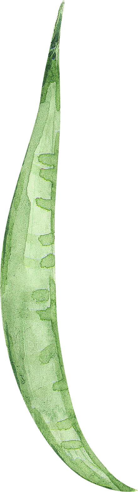 Snap Peas